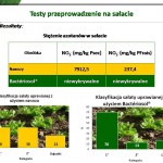 Stężenie azotanów oraz klasyfikacja sałaty