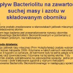 Wpływ Bacteriolitu na zawartość SM i N w oborniku