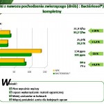 Opis doświadczenia nr 2