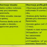 Obserwacje