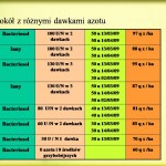 Rezultaty na poszczególnych poletkach