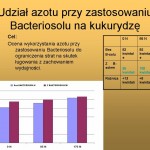 Udział azotu przy zastosowaniu Bacteriosolu na kukurydzę