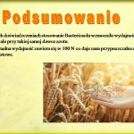 Podsumowanie