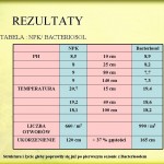 Kukurydza- rezultaty